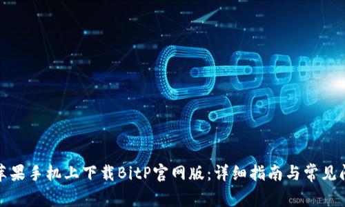 如何在苹果手机上下载BitP官网版：详细指南与常见问题解答