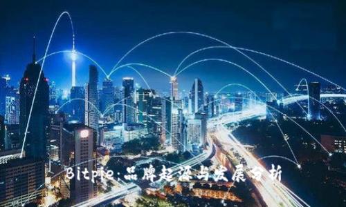 Bitpie：品牌起源与发展分析