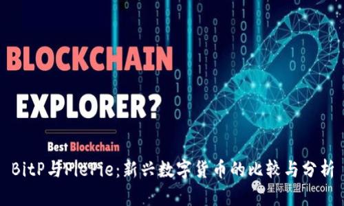 BitP与PiePie：新兴数字货币的比较与分析