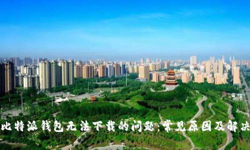 解决比特派钱包无法下载的问题：常见原因及解决方案