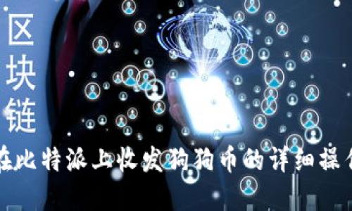 如何在比特派上收发狗狗币的详细操作教程