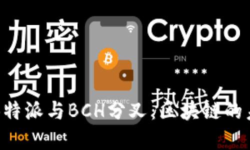 深入了解B特派与BCH分叉：区块链的未来与挑战