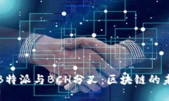 深入了解B特派与BCH分叉：