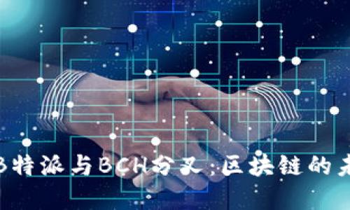 深入了解B特派与BCH分叉：区块链的未来与挑战