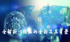全解析：B特派的全称及其