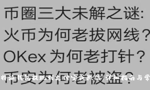 如何通过比特派钱包提现到支付宝或微信：详细指南与常见问题解答