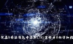 如何在B特派钱包中添加