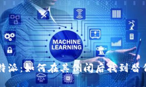 玩转B特派：如何在其倒闭后找到替代方案？