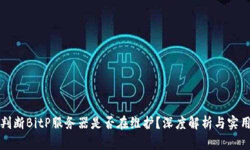如何判断BitP服务器是否在维护？深度解析与实用技巧