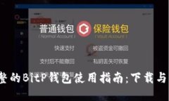 2023年最完整的BitP钱包使用