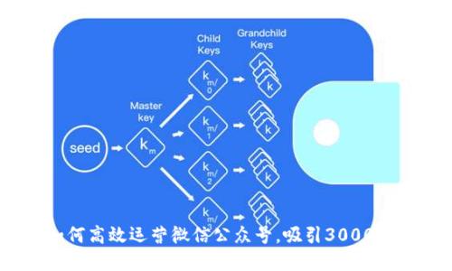 2023年最新：如何高效运营微信公众号，吸引3000 粉丝的实用技巧