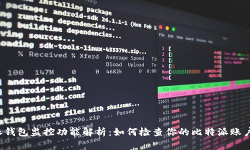 比特派钱包监控功能解析：如何检查你的比特派账户安全？