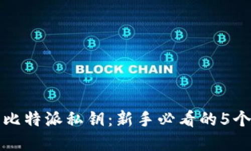 如何购买比特派私钥：新手必看的5个实用指南