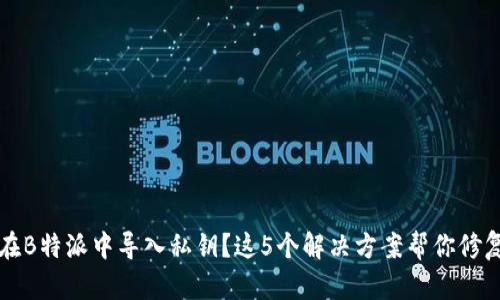 无法在B特派中导入私钥？这5个解决方案帮你修复问题