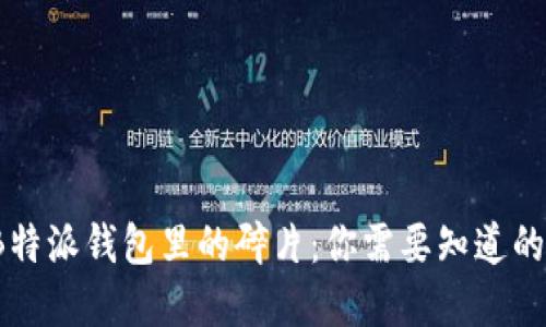 深入了解B特派钱包里的碎片：你需要知道的5个关键点