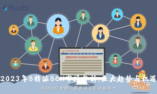 2023年B特派BCH市场分析：五大趋势与机遇