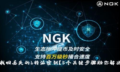 如何找回丢失的b特派密钥？5个关键步骤助你解决问题