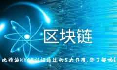 比特派KYC5认证通过的5大作