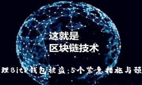 如何处理BitP钱包被盗：5个紧急措施与预防建议