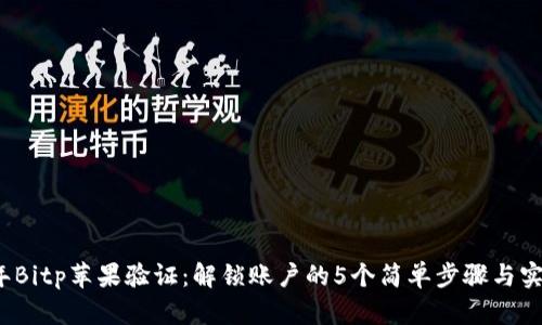2023年Bitp苹果验证：解锁账户的5个简单步骤与实用技巧