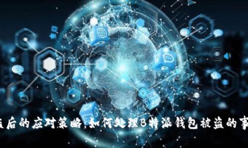 被盗后的应对策略：如何处理B特派钱包被盗的事件？