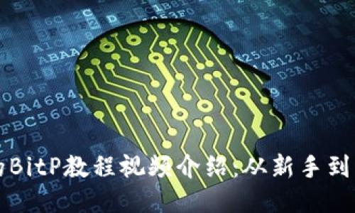 2023年最全面的BitP教程视频介绍：从新手到高手，只需6小时！