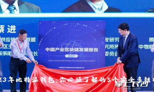 2023年比特派钱包：你必须了解的5个安全多链特性