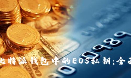 如何查看比特派钱包中的EOS私钥:全面步骤解析