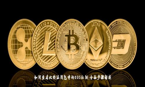 如何查看比特派钱包中的EOS私钥:全面步骤解析