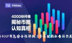 2023年BitP钱包安全性评测：