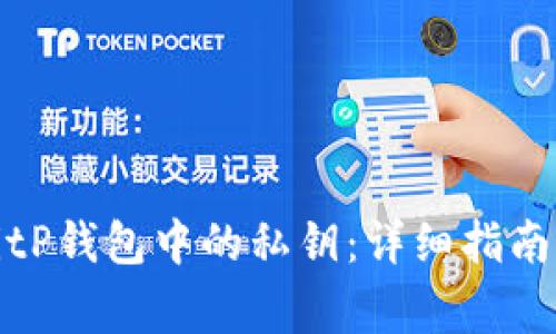如何查看BitP钱包中的私钥：详细指南与注意事项