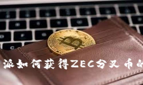 详细解析：B特派如何获得ZEC分叉币的5种有效方法