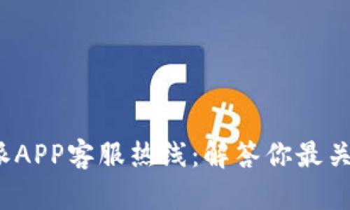 2023年B特派APP客服热线：解答你最关心的5大问题
