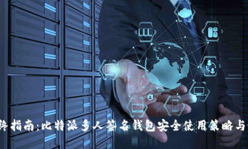 2023年终指南：比特派多人签名钱包安全使用策略与最佳实践