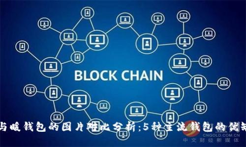 冷钱包与暖钱包的图片对比分析：5种主流钱包的优缺点一览