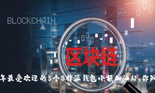 2023年最受欢迎的5个B特派钱包小额加油站，你知道吗？