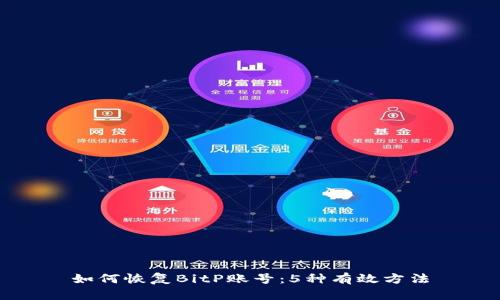如何恢复BitP账号：5种有效方法