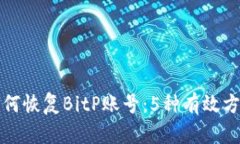 如何恢复BitP账号：5种有效