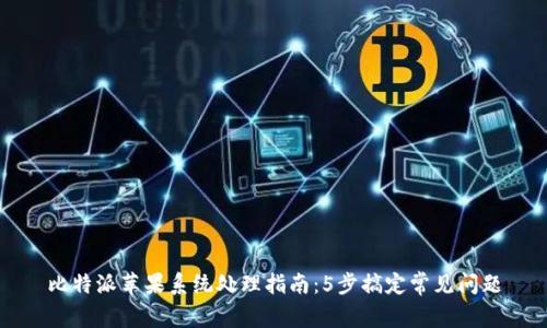 比特派苹果系统处理指南：5步搞定常见问题