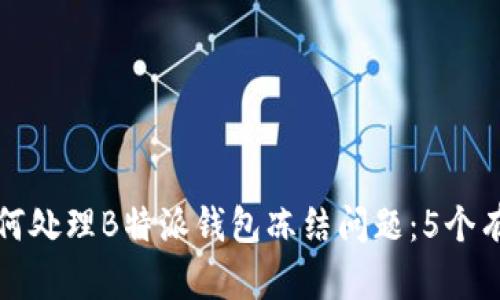 个体应该如何处理B特派钱包冻结问题：5个有效解决方案