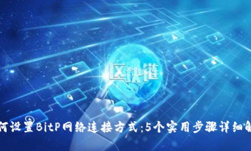 如何设置BitP网络连接方式：5个实用步骤详细解析