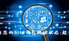 如何检查您的BitP钱包地址