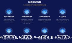 B特派的钱包到底是真的吗