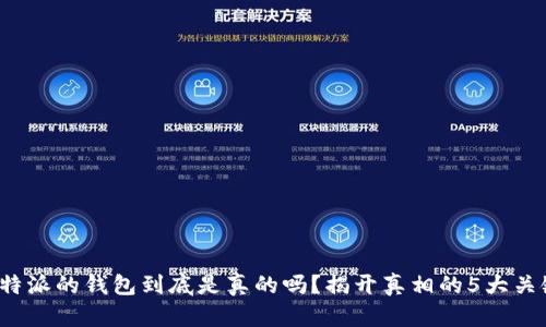 B特派的钱包到底是真的吗？揭开真相的5大关键