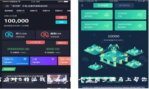 如何应对B特派钱包丢失？5个实用步骤马上帮你找回
