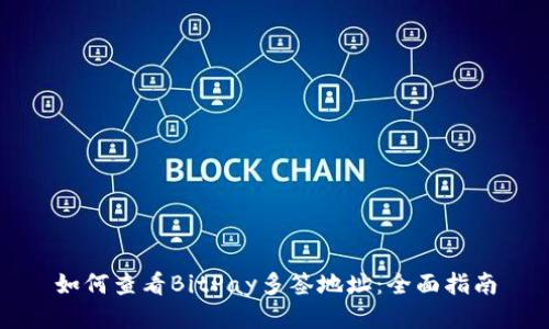 如何查看BitPay多签地址：全面指南