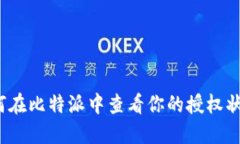 如何在比特派中查看你的