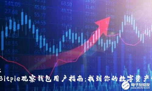 riasript
2023年Bitpie观察钱包用户指南：找到你的数字资产管理方案