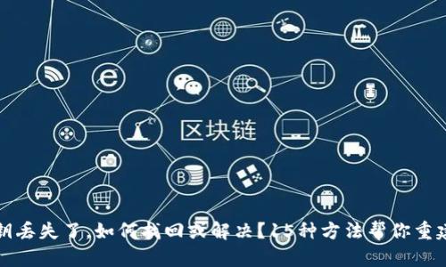 如果比特派密钥丢失了，如何找回或解决？15种方法帮你重建数字资产信心