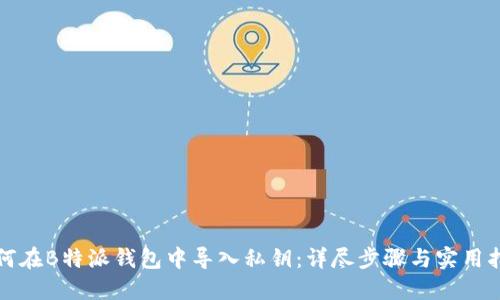 如何在B特派钱包中导入私钥：详尽步骤与实用指南